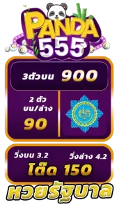 แพนด้า555