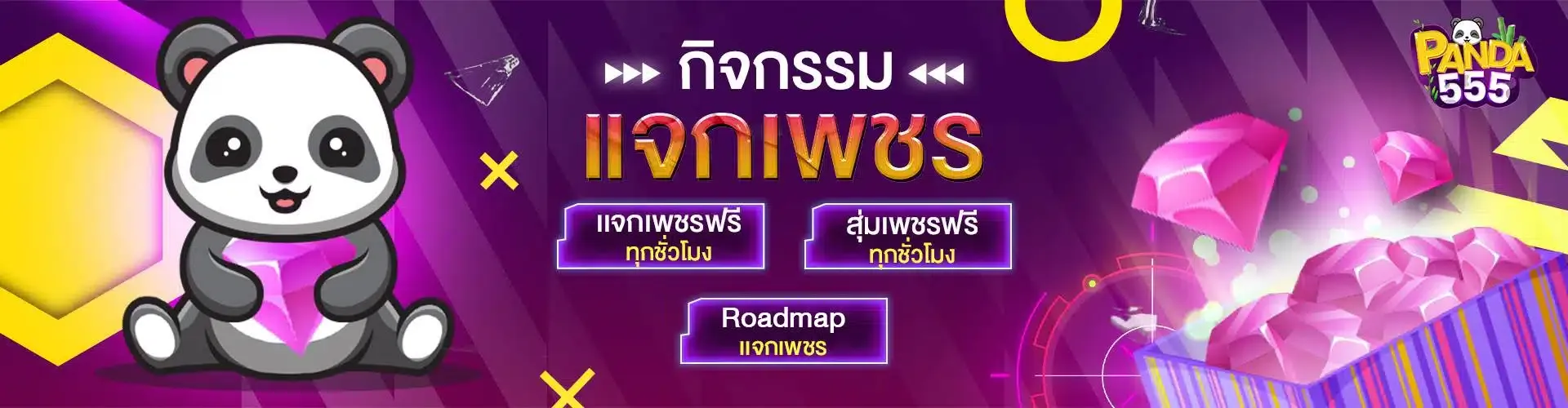 แพนด้า555